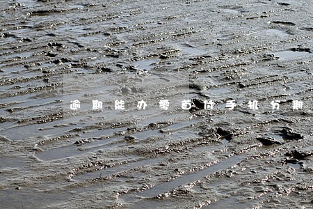 逾期能办零首付手机分期 逾期能办零首付手机分期