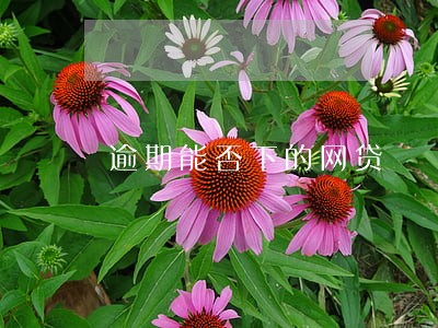 逾期能否下的网贷 逾期能否下的网贷