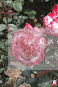 逾期能在别的银行贷款吗 逾期能在别的银行贷款吗