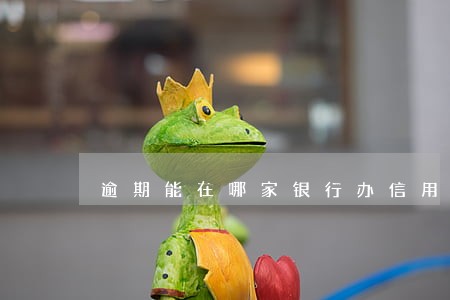 逾期能在哪家银行办信用卡 逾期能在哪家银行办信用卡