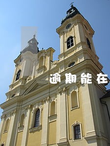 逾期能在网上缴纳税款吗 逾期能在网上缴纳税款吗