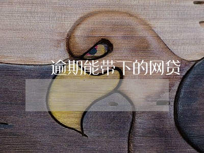逾期能带下的网贷 逾期能带下的网贷