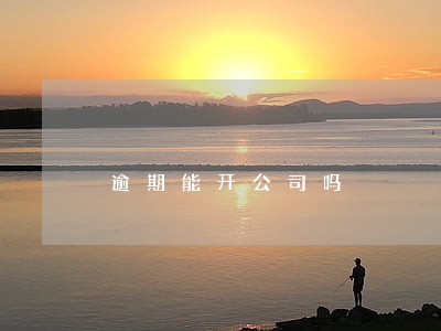 逾期能开公司吗 逾期能开公司吗