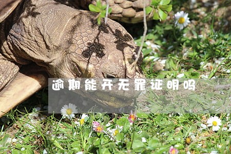 逾期能开无罪证明吗