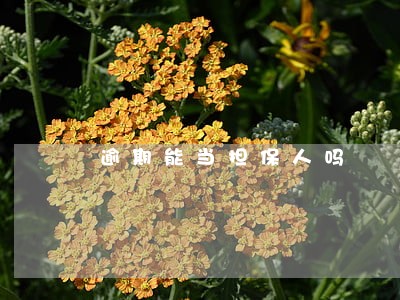 逾期能当担保人吗 逾期能当担保人吗