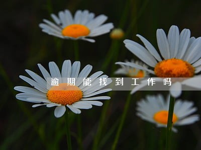 逾期能找到工作吗 逾期能找到工作吗