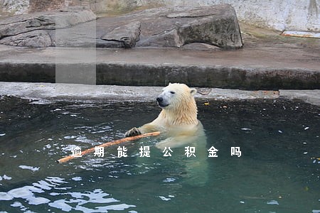 逾期能提公积金吗 逾期能提公积金吗