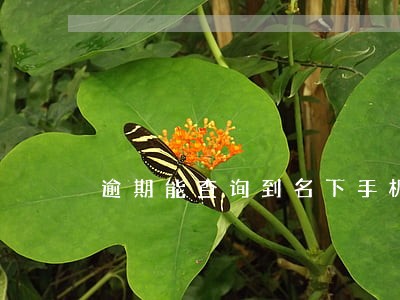 逾期能查询到名下手机 逾期能查询到名下手机