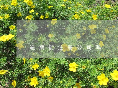 逾期能注册公司吗 逾期能注册公司吗