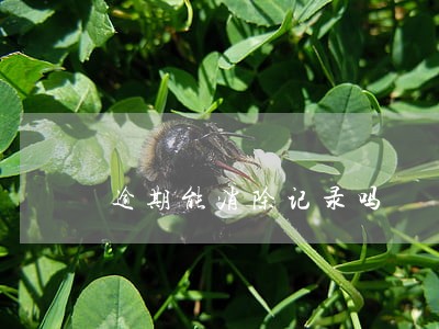 逾期能消除记录吗