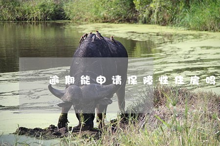 逾期能申请保障性住房吗