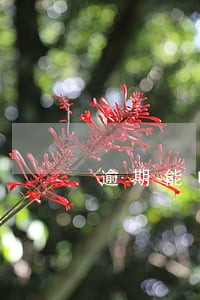 逾期能申请到头条备用金么 逾期能申请到头条备用金么