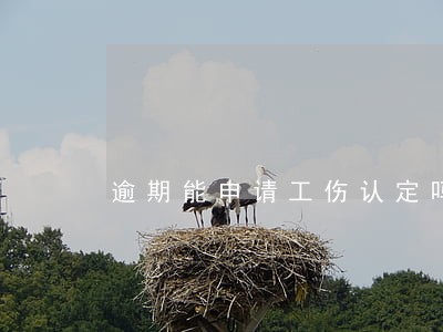逾期能申请工伤认定吗