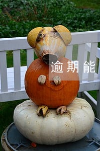 逾期能申请房贷 逾期能申请房贷