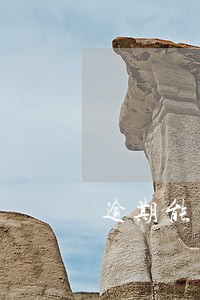 逾期能申请深圳公租房吗 逾期能申请深圳公租房吗