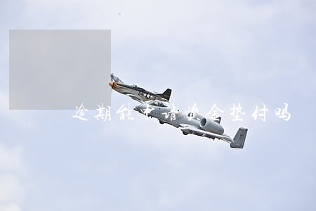逾期能申请资金垫付吗 逾期能申请资金垫付吗