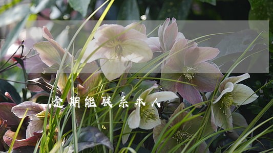 逾期能联系本人