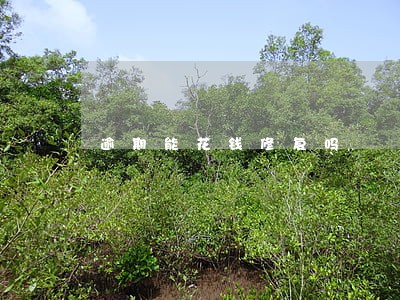 逾期能花钱修复吗 逾期能花钱修复吗
