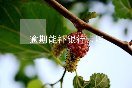逾期能补银行卡吗