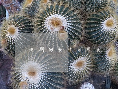 逾期能贷什么网贷 逾期能贷什么网贷