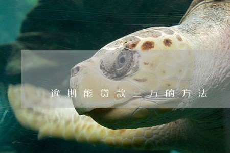 逾期能贷款三万的方法 逾期能贷款三万的方法