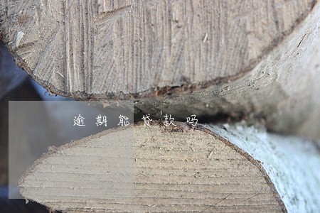 逾期能贷款吗 逾期能贷款吗