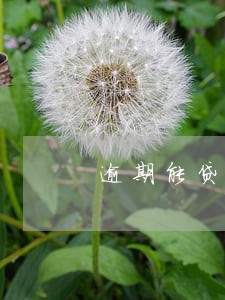 逾期能贷款吗在哪个平台贷款 逾期能贷款吗在哪个平台贷款