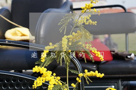 逾期能贷款的公司 逾期能贷款的公司