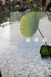 逾期能贷款的平台 逾期能贷款的平台