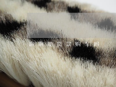 逾期能贷款购车吗 逾期能贷款购车吗