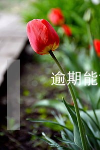 逾期能贷的口子 逾期能贷的口子