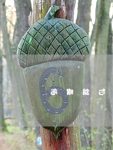 逾期能过的小贷 逾期能过的小贷