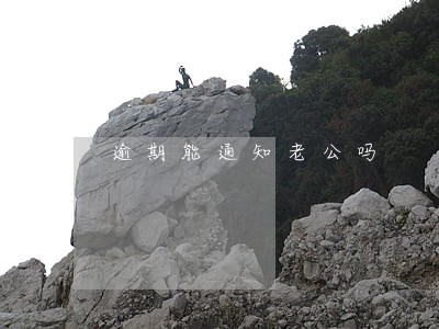 逾期能通知老公吗