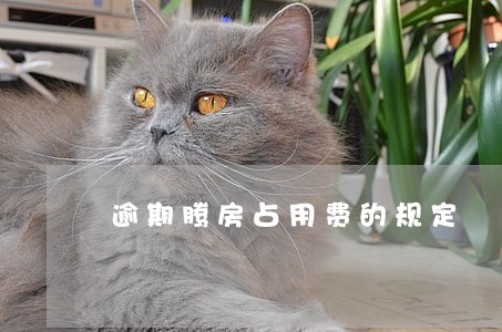 逾期腾房占用费的规定 逾期腾房占用费的规定