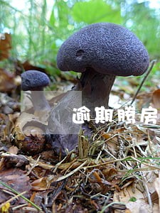 逾期腾房日怎么计算 逾期腾房日怎么计算