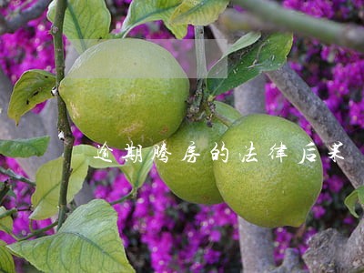 逾期腾房的法律后果 逾期腾房的法律后果