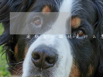 逾期自动撤销是什么意思 逾期自动撤销是什么意思