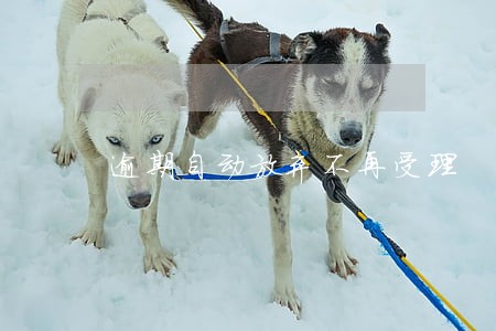 逾期自动放弃不再受理 逾期自动放弃不再受理