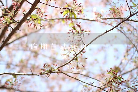 逾期自动续租 逾期自动续租