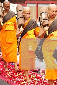 逾期自动续费什么意思 逾期自动续费什么意思