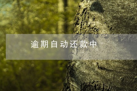 逾期自动还款中 逾期自动还款中