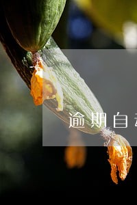 逾期自动还款会一直扣款吗 逾期自动还款会一直扣款吗