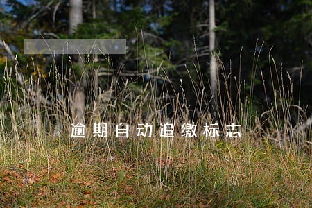 逾期自动追缴标志 逾期自动追缴标志