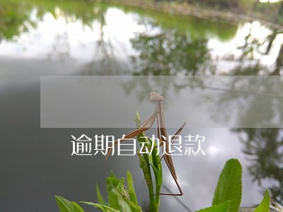 逾期自动退款 逾期自动退款