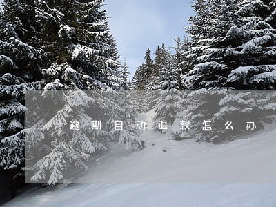 逾期自动退款怎么办 逾期自动退款怎么办