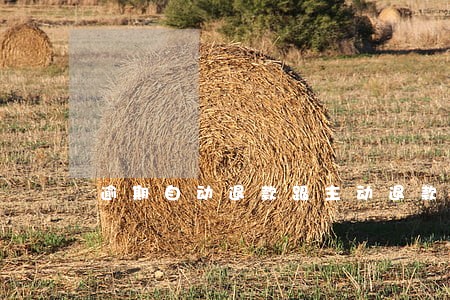 逾期自动退款跟主动退款 逾期自动退款跟主动退款