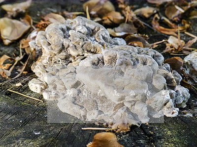 逾期自己怎么协商 逾期自己怎么协商