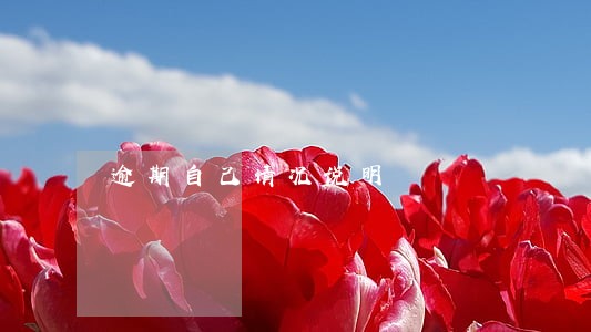 逾期自己情况说明 逾期自己情况说明