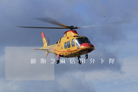 逾期芝麻信用分下降