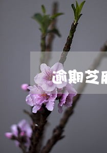 逾期芝麻信用分什么时候会掉 逾期芝麻信用分什么时候会掉